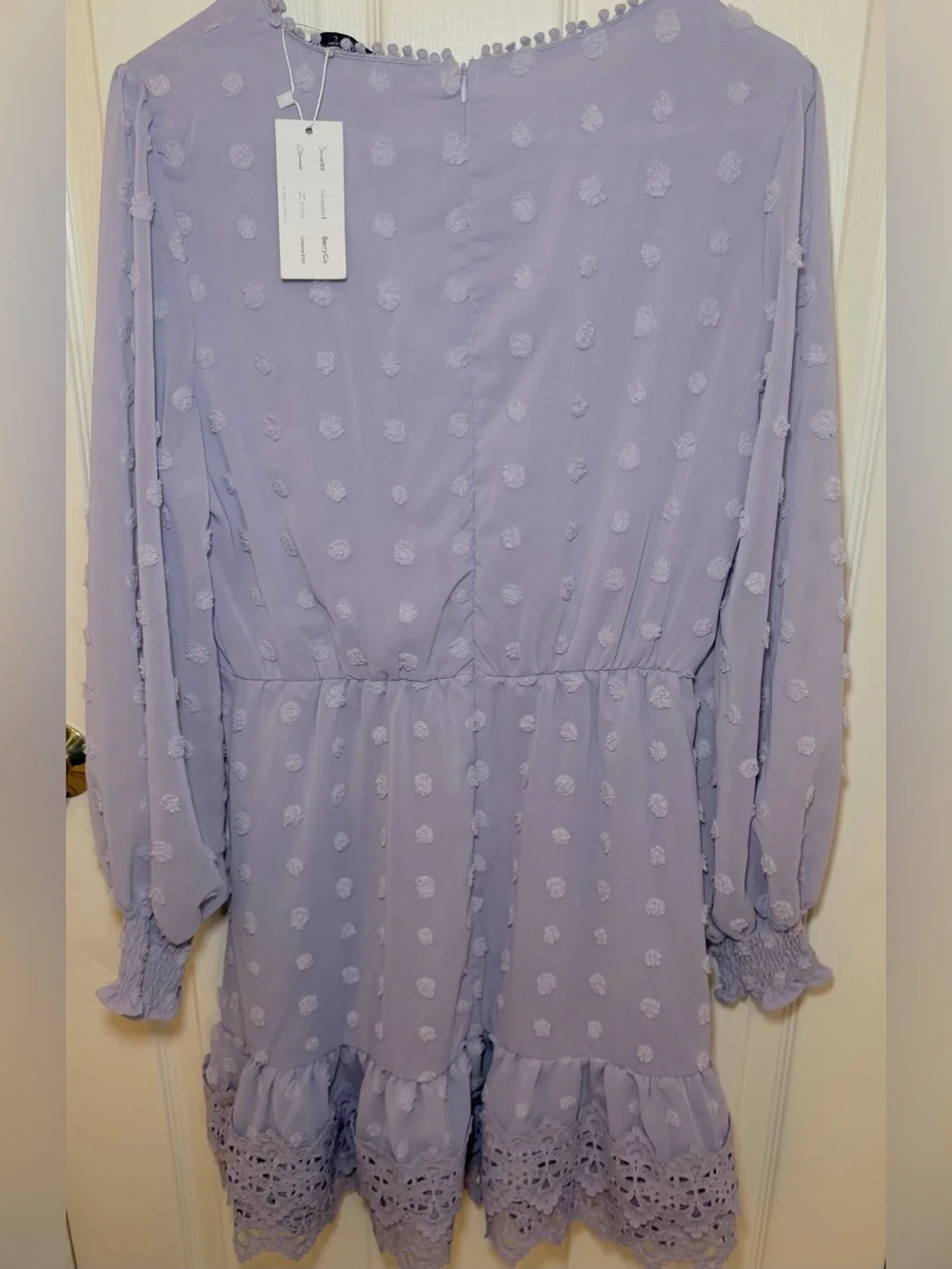 Simplee swiss dot guipure lace trim chiffon mini dress